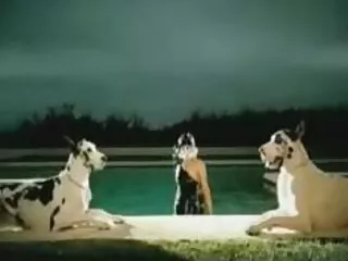 Da en todas las porno gratis subtitulado grietas
